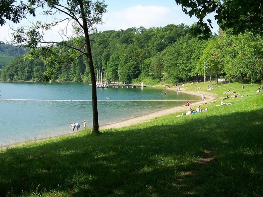 Ferienhaus Lena Im Sauerland Direkt Am Hennesee Meschede Eksteriør billede