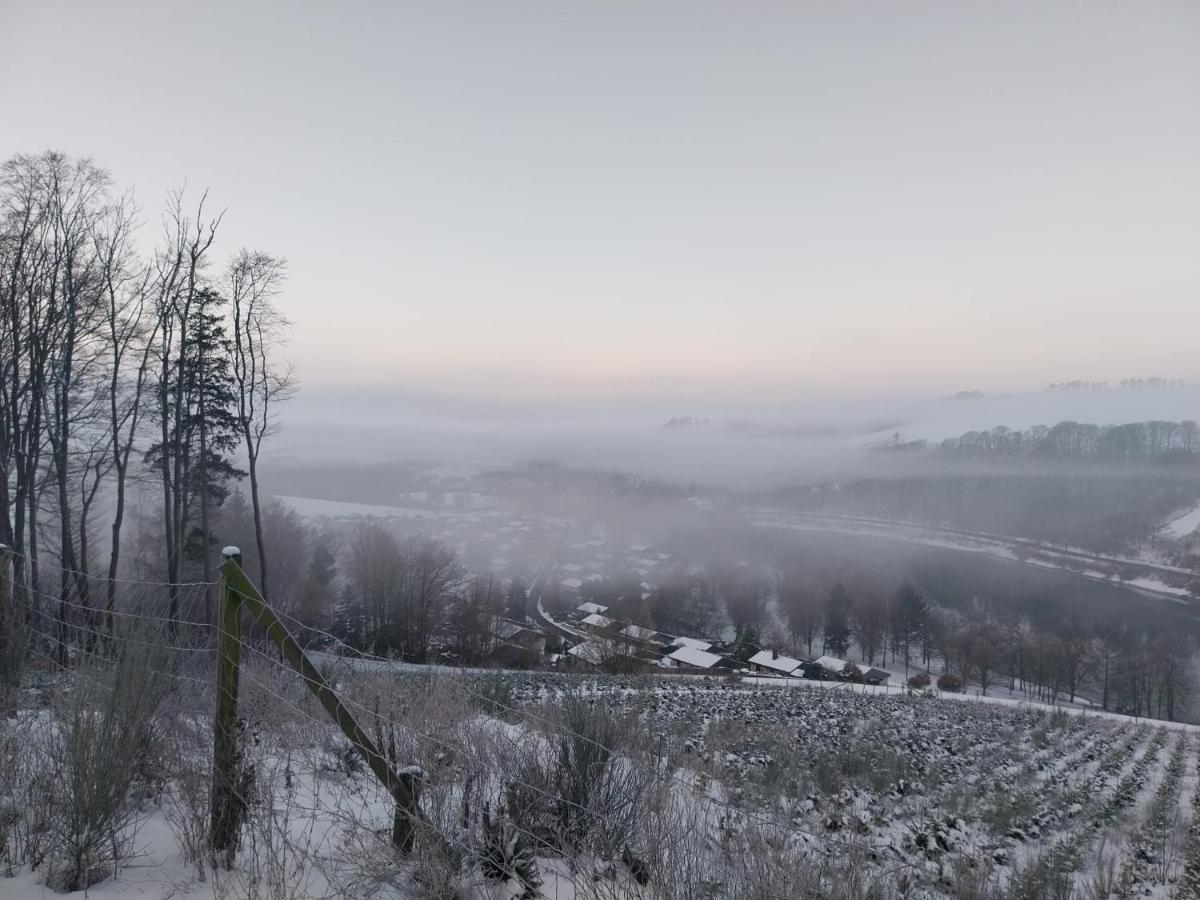 Ferienhaus Lena Im Sauerland Direkt Am Hennesee Meschede Eksteriør billede